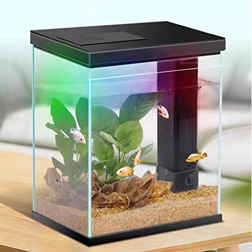 2 Gallon Glass Betta Fish Tank with Heater Filter and Light O95813