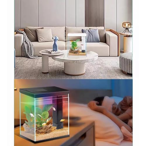 2 Gallon Glass Betta Fish Tank with Heater Filter and Light O95813