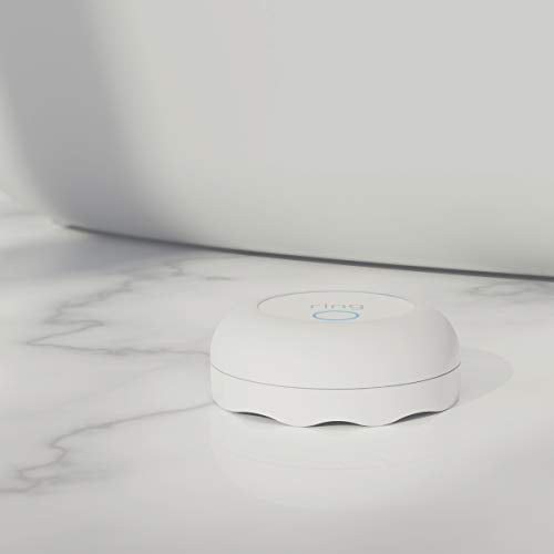 Flood & Freeze Sensor V41919