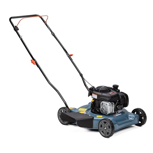 21-Inch 140 cc Gas Push Lawn Mower A156
