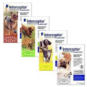 12 Month Supply Pet Supplies A12447