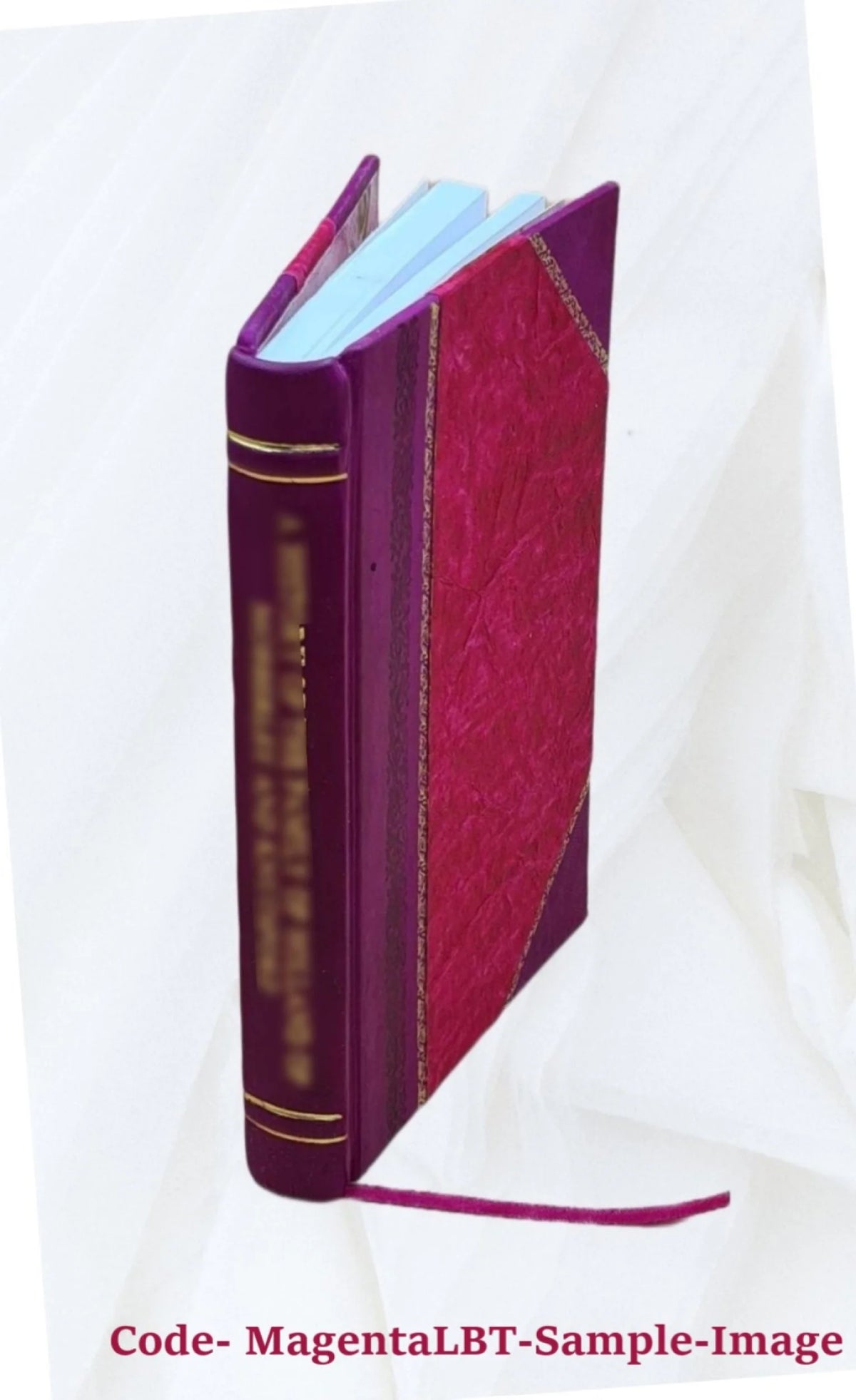 1841 Leather Bound H4595